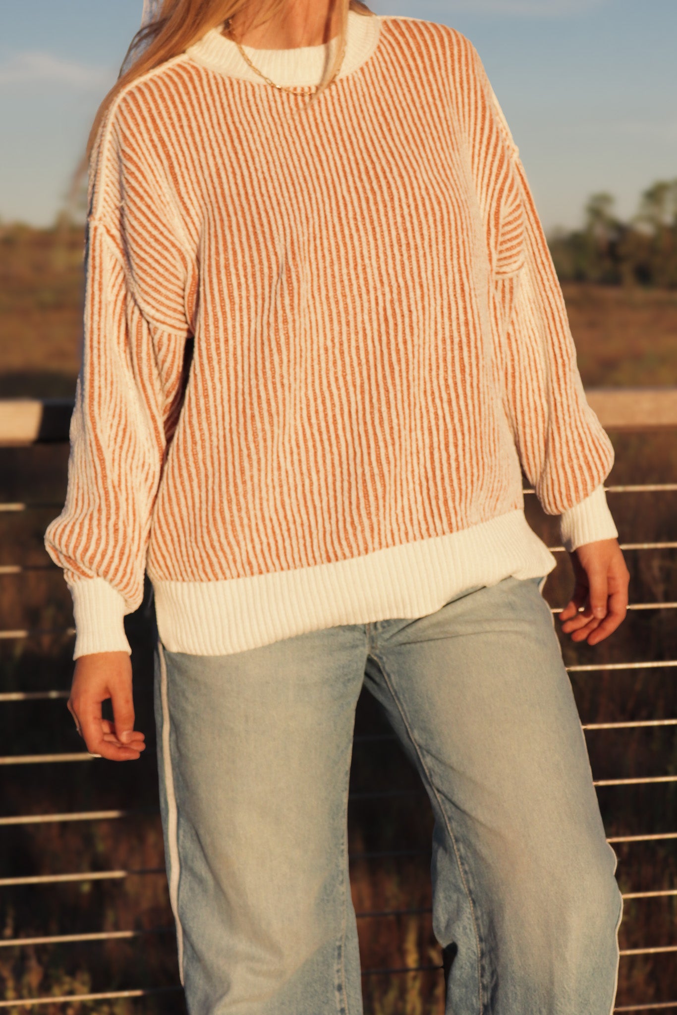 Cider & Stripes Sweater